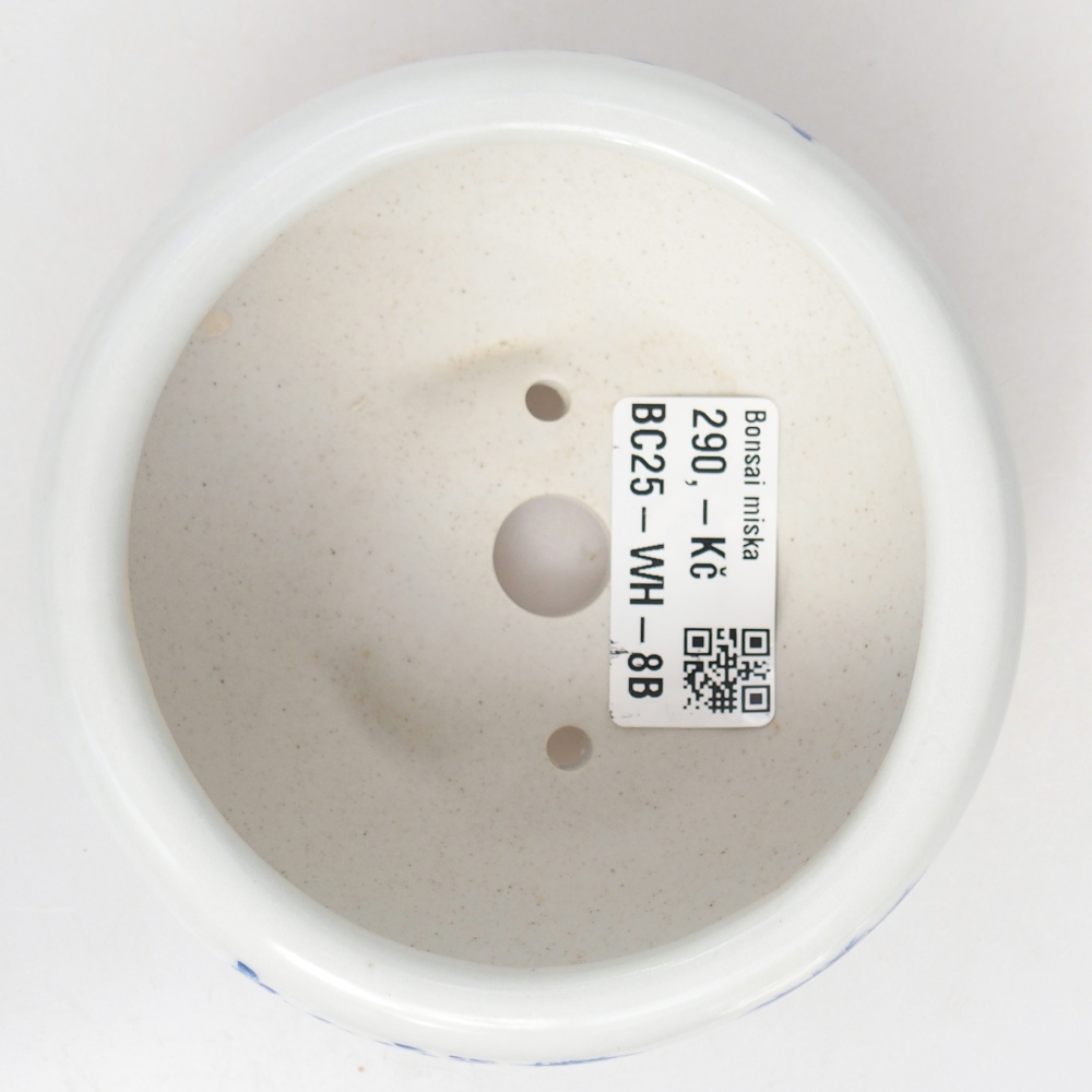 Cuenco bonsái de cerámica 10 x 10 x 5 cm, color blanco