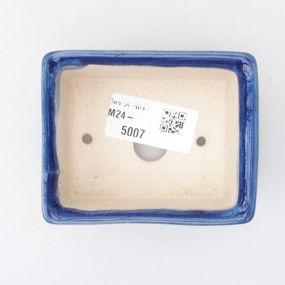 Mini cuenco bonsái 8 x 7 x 3,5 cm, color azul