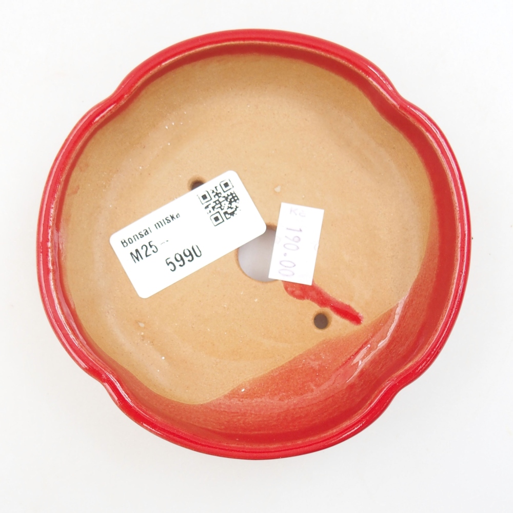 Cuenco bonsái de cerámica 22 x 17 x 5 cm, verde