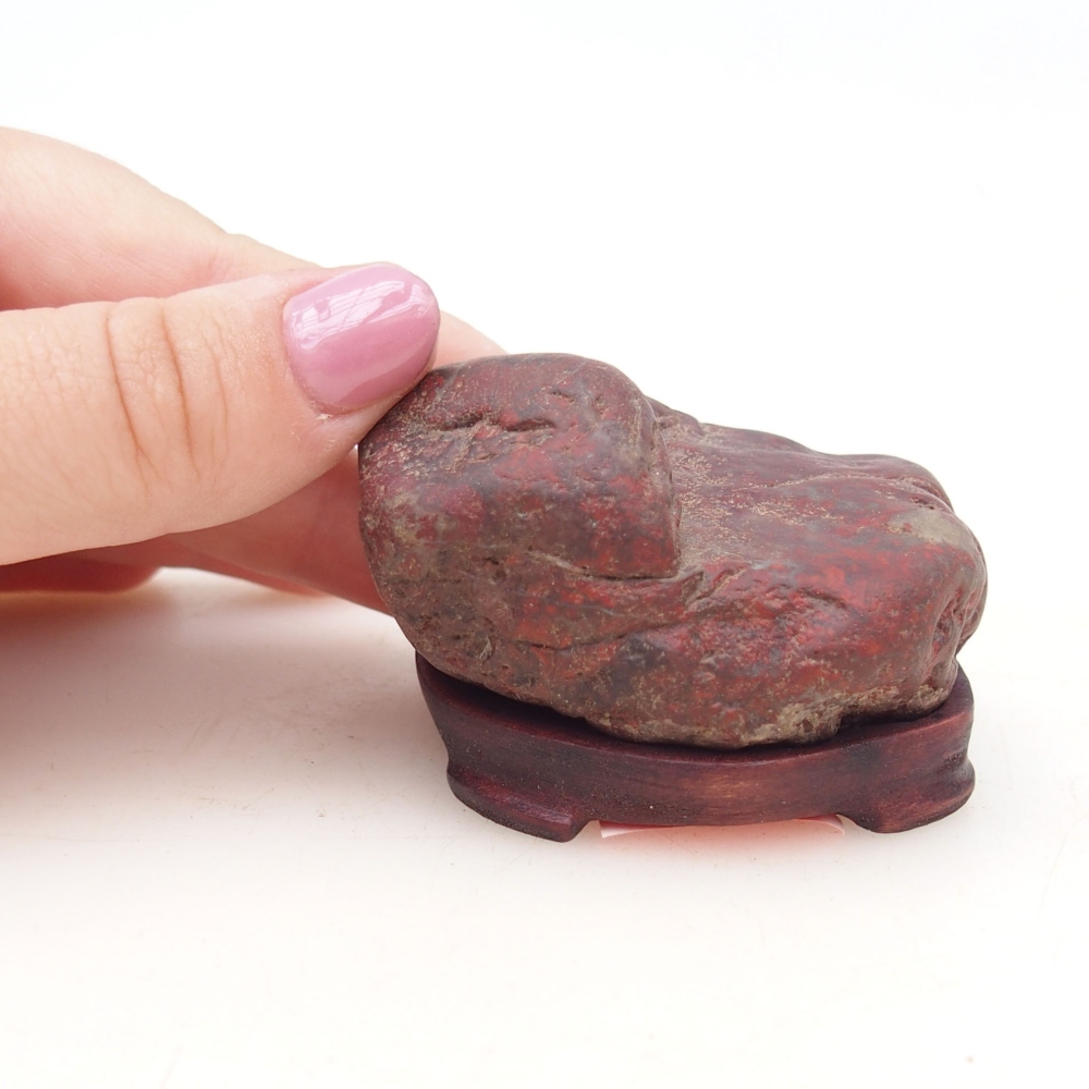 Suiseki - Piedra con DAI (base de madera)