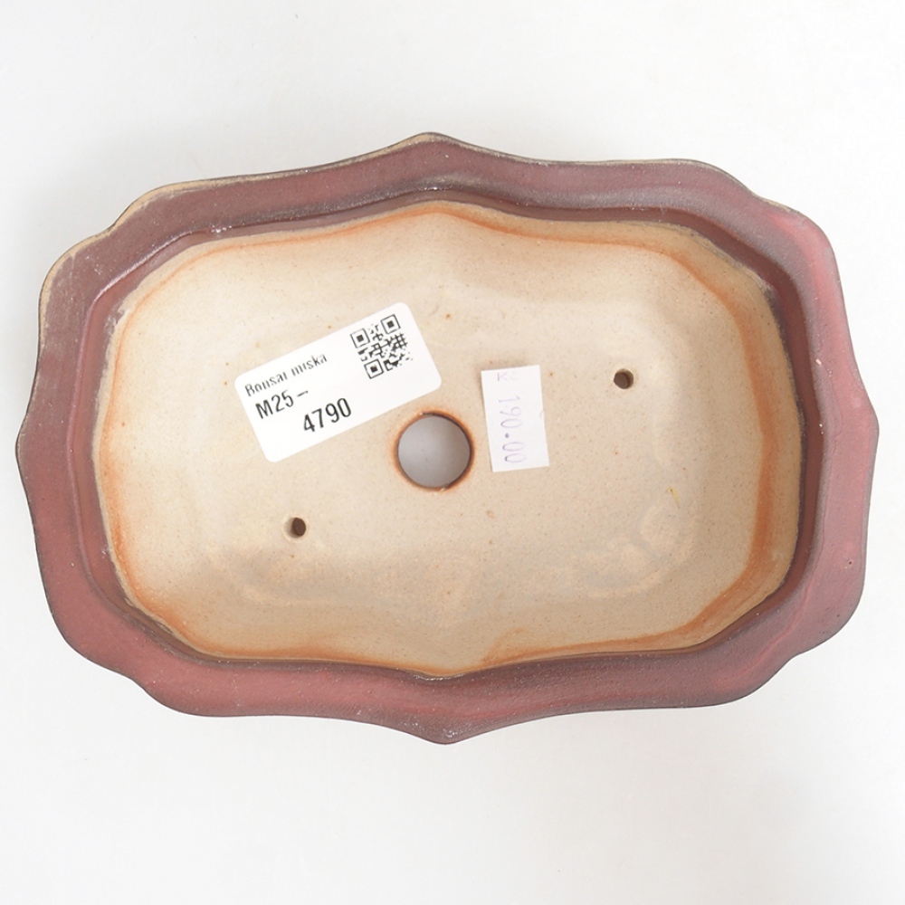 Cuenco bonsái de cerámica 15,5 x 11,5 x 4,5 cm, rosa