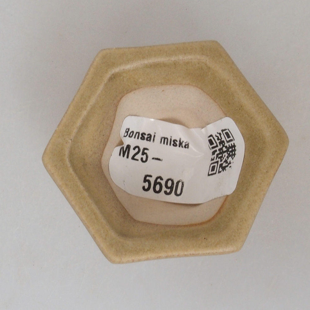 Cuenco mini bonsái 4,5 x 4,5 x 2,5 cm, marrón