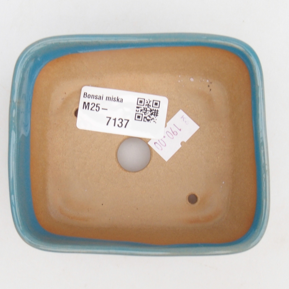 Cuenco bonsái de cerámica 10,5 x 8,5 x 4 cm, color azul