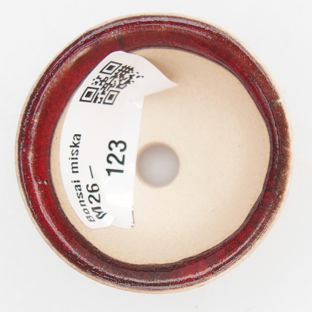 Mini cuenco bonsái 5 x 5 x 3 cm, color rojo