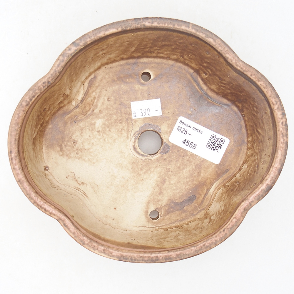 Cuenco bonsái de cerámica 17 x 15,5 x 5,5 cm, rosa