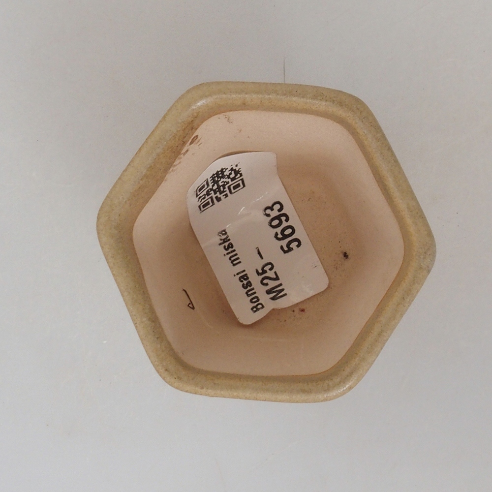 Mini cuenco bonsái 5 x 5 x 5 cm, marrón