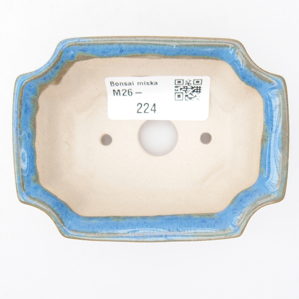 Cuenco mini bonsái 9 x 6,5 x 3,5 cm, color azul