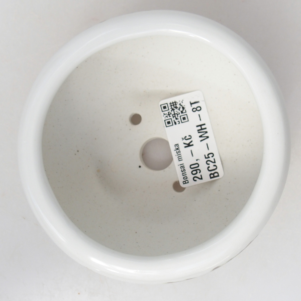 Cuenco bonsái de cerámica 10 x 10 x 5 cm, color blanco