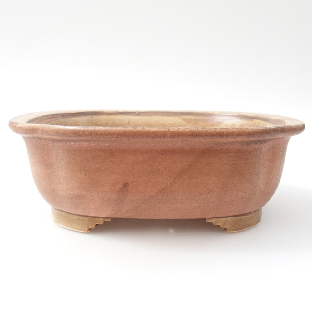 Cuenco bonsái de cerámica 20 x 16 x 7 cm, rosa