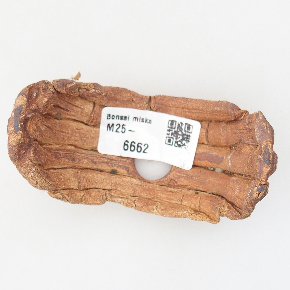 Concha de cerámica 9 x 4,5 x 4,5 cm , color marrón