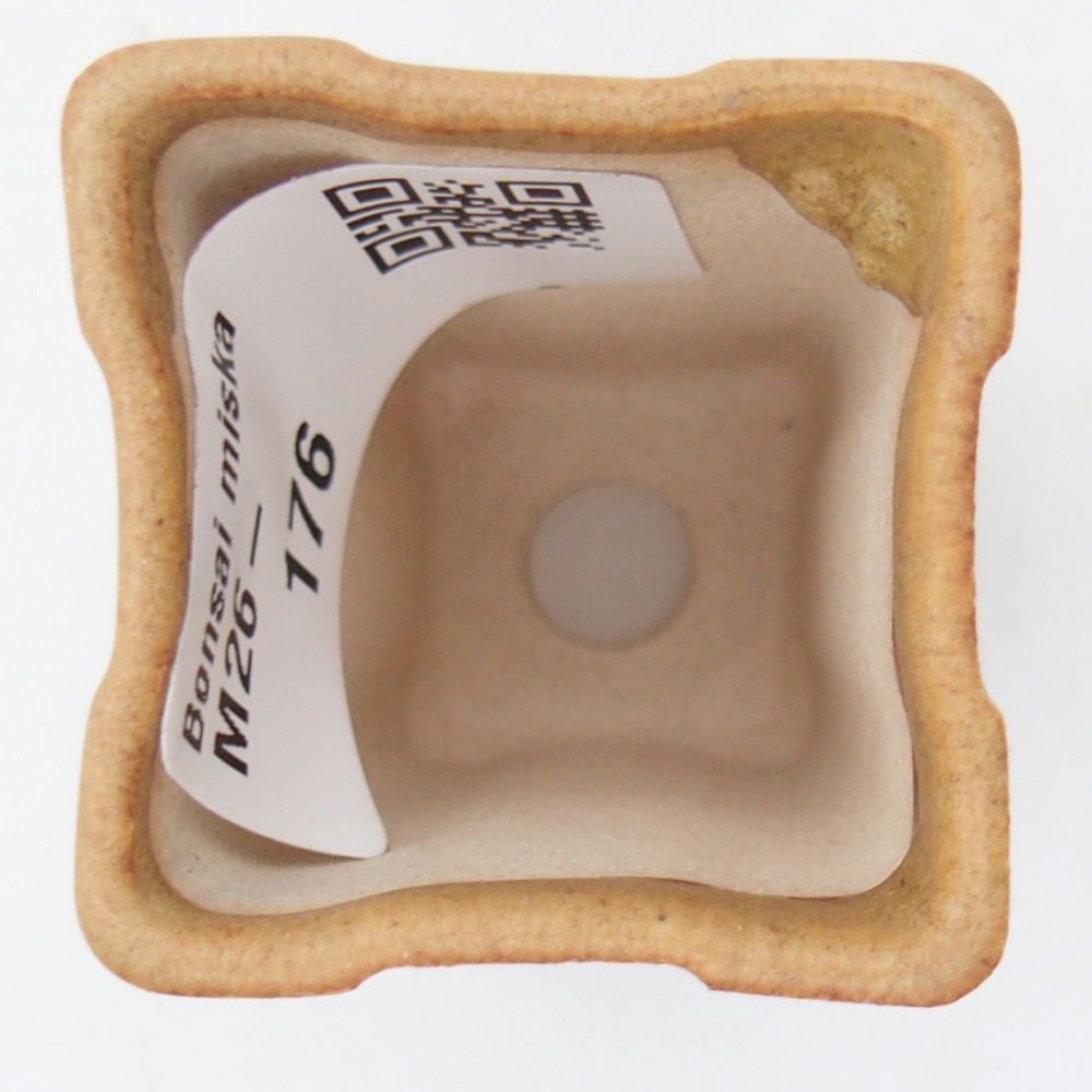 Cuenco mini bonsái 3,5 x 3,5 x 5,5 cm, marrón