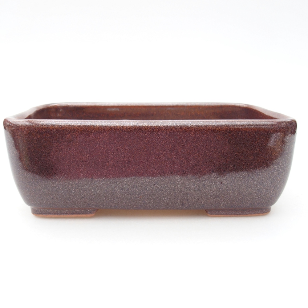 Cuenco bonsái de cerámica 16 x 11 x 5,5 cm, marrón