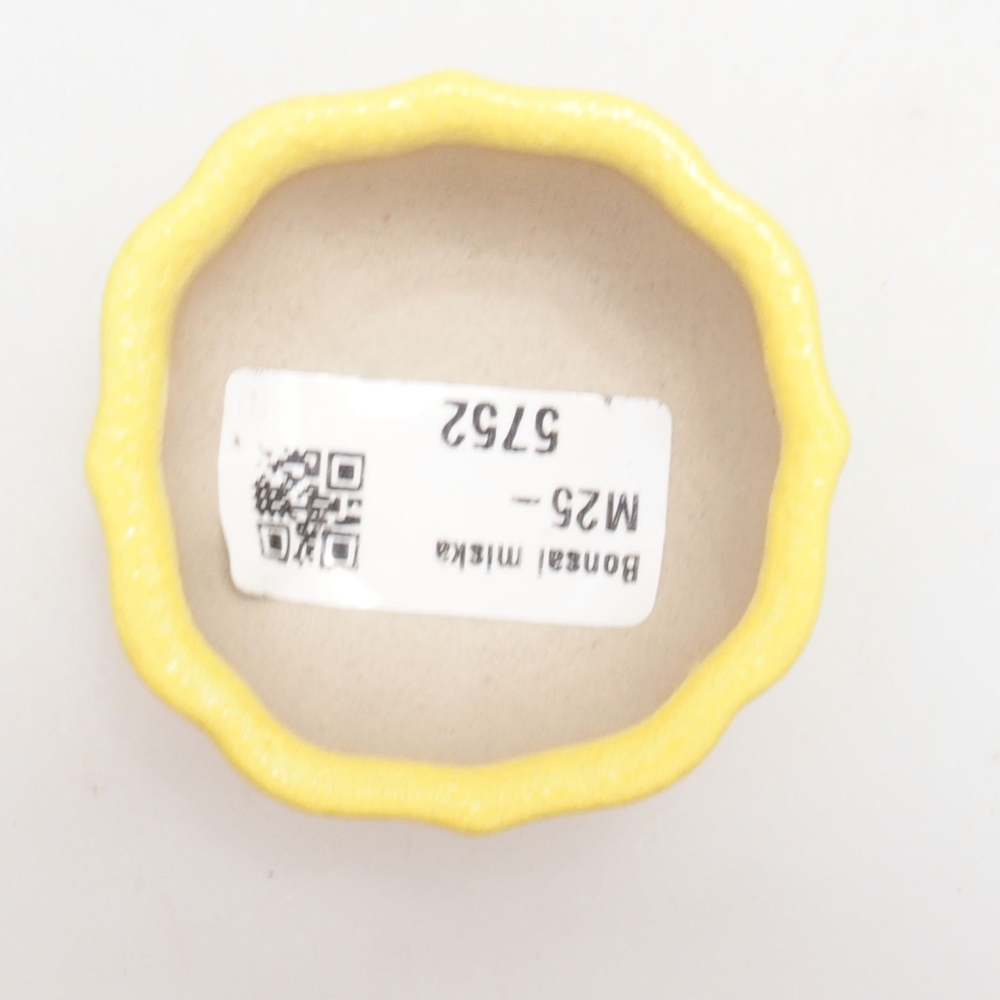 Cuenco bonsái de cerámica 5,5 x 5,5 x 3 cm, amarillo