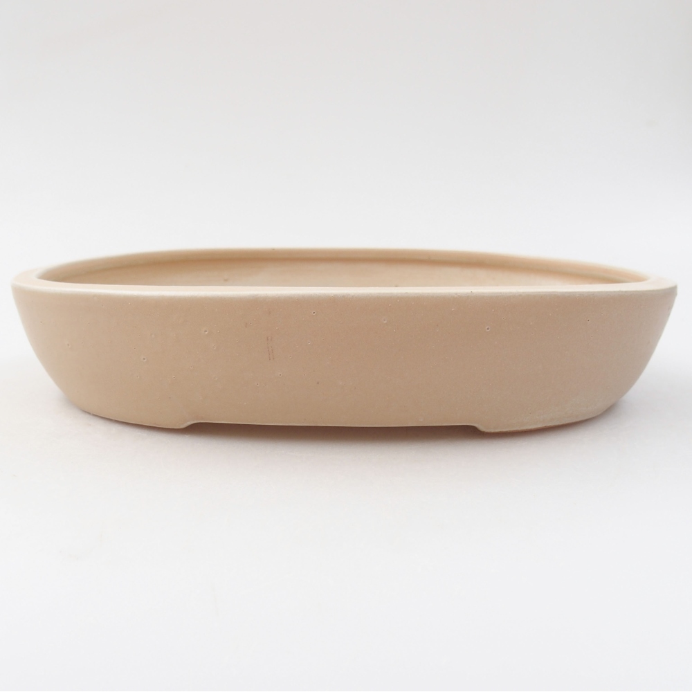 Cuenco bonsái de cerámica 22 x 17 x 4 cm, color beige