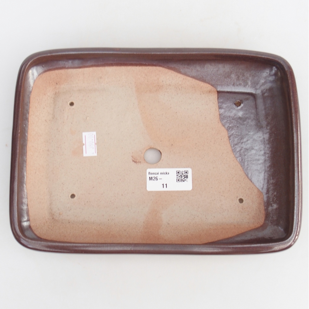 Cuenco bonsái de cerámica 24 x 17,5 x 4 cm, marrón