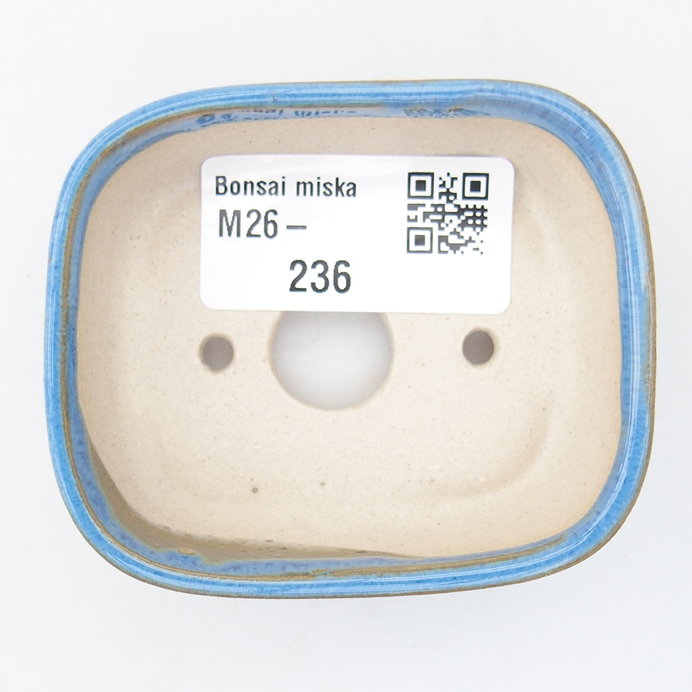 Mini cuenco bonsái 7 x 6 x 2,5 cm, color azul