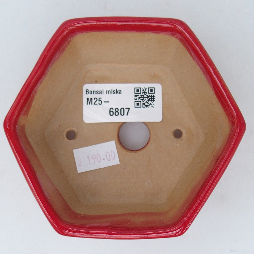Cuenco bonsái de cerámica 10,5 x 9,5 x 5 cm, color rojo