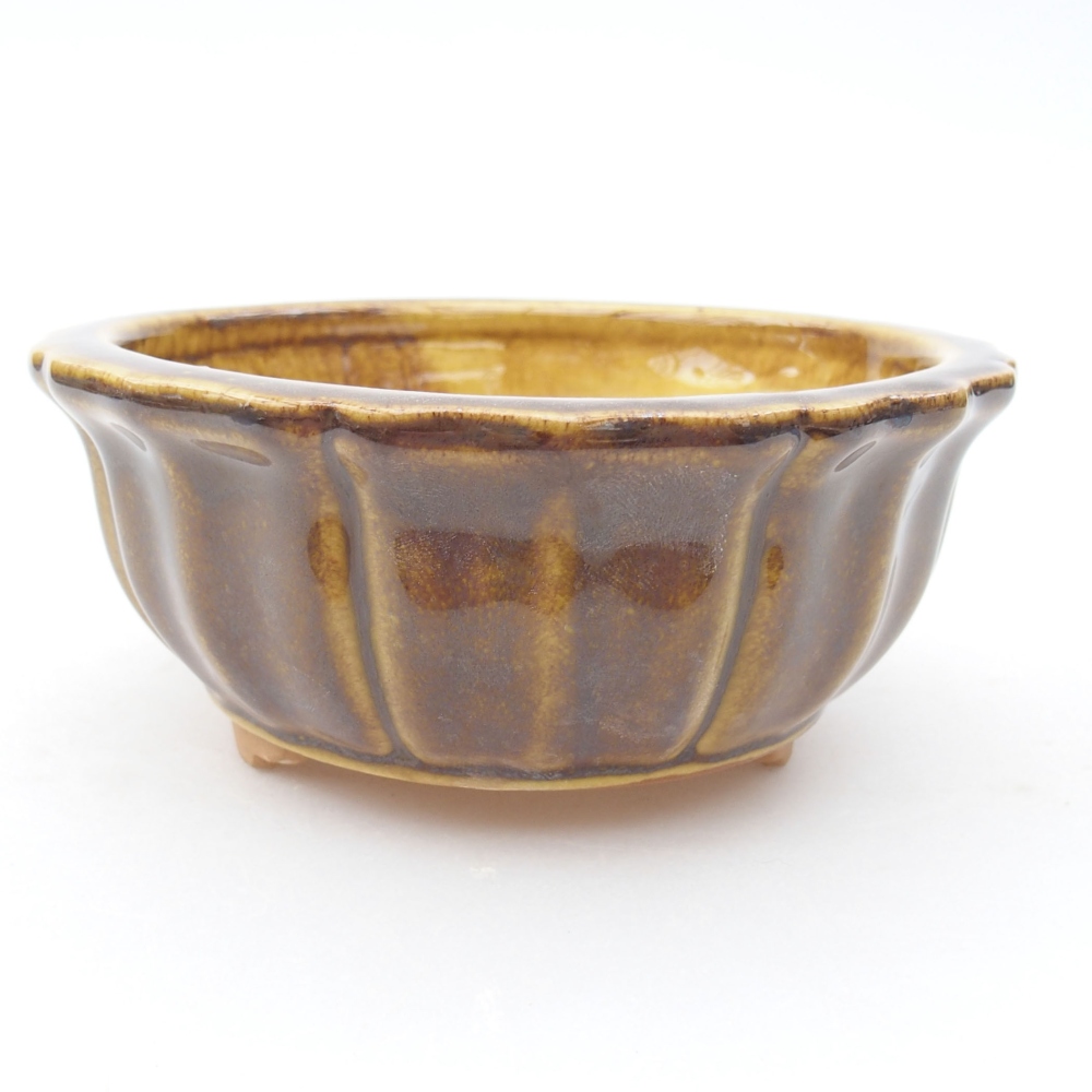 Cuenco bonsái de cerámica 11,5 x 11,5 x 5 cm, amarillo