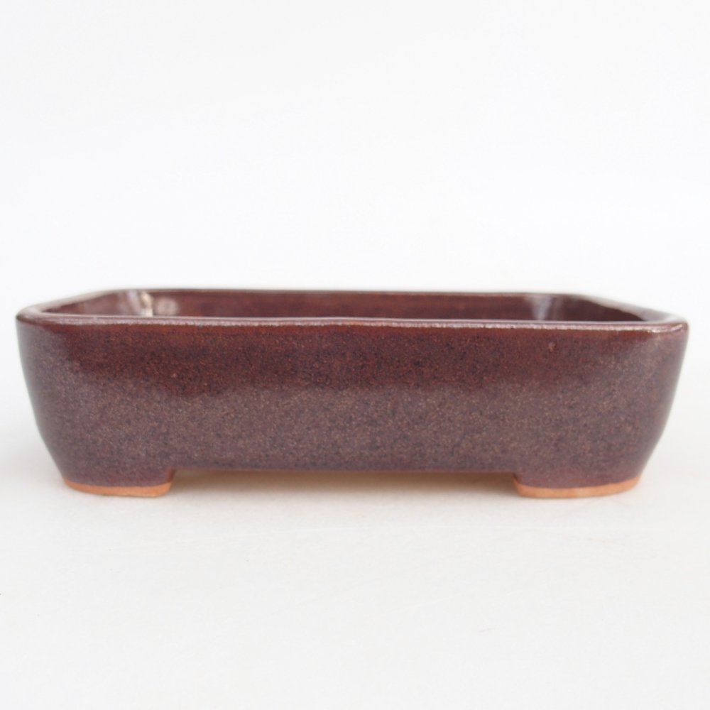 Cuenco bonsái de cerámica 12,5 x 9,5 x 3,5 cm, marrón