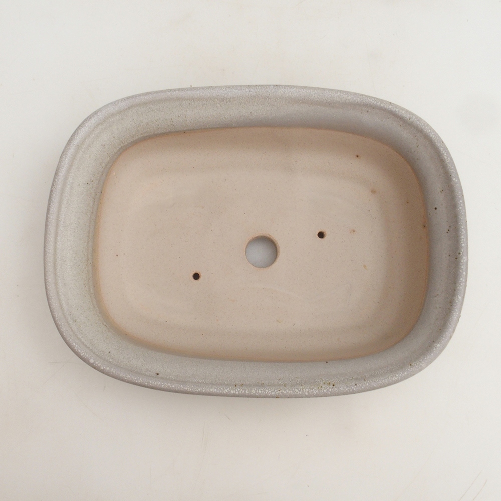 Cuenco bonsái H25 - 23 x 17 x 5,5 cm - beige