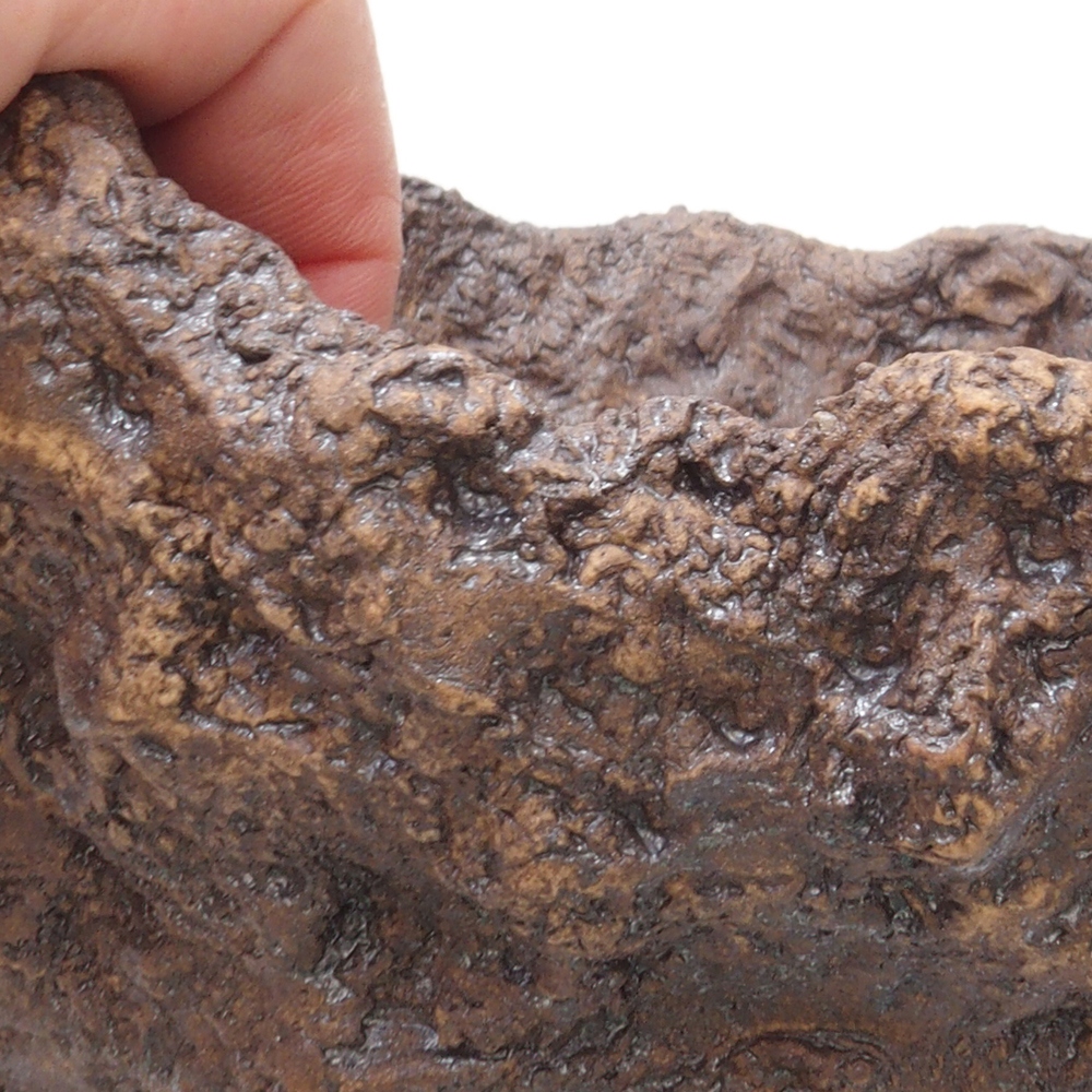 Concha de cerámica 18 x 17 x 17,5 cm , color marrón