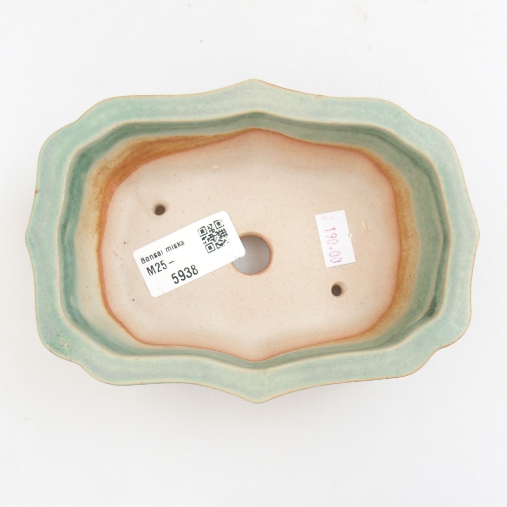 Cuenco bonsái de cerámica 22 x 17 x 5 cm, verde
