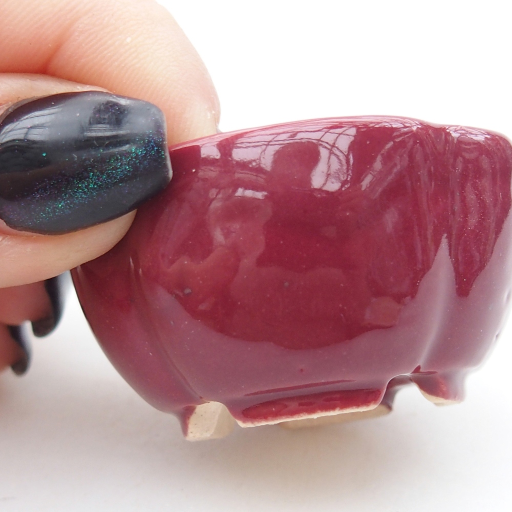 Cuenco mini bonsái 4 x 4 x 2 cm, burdeos