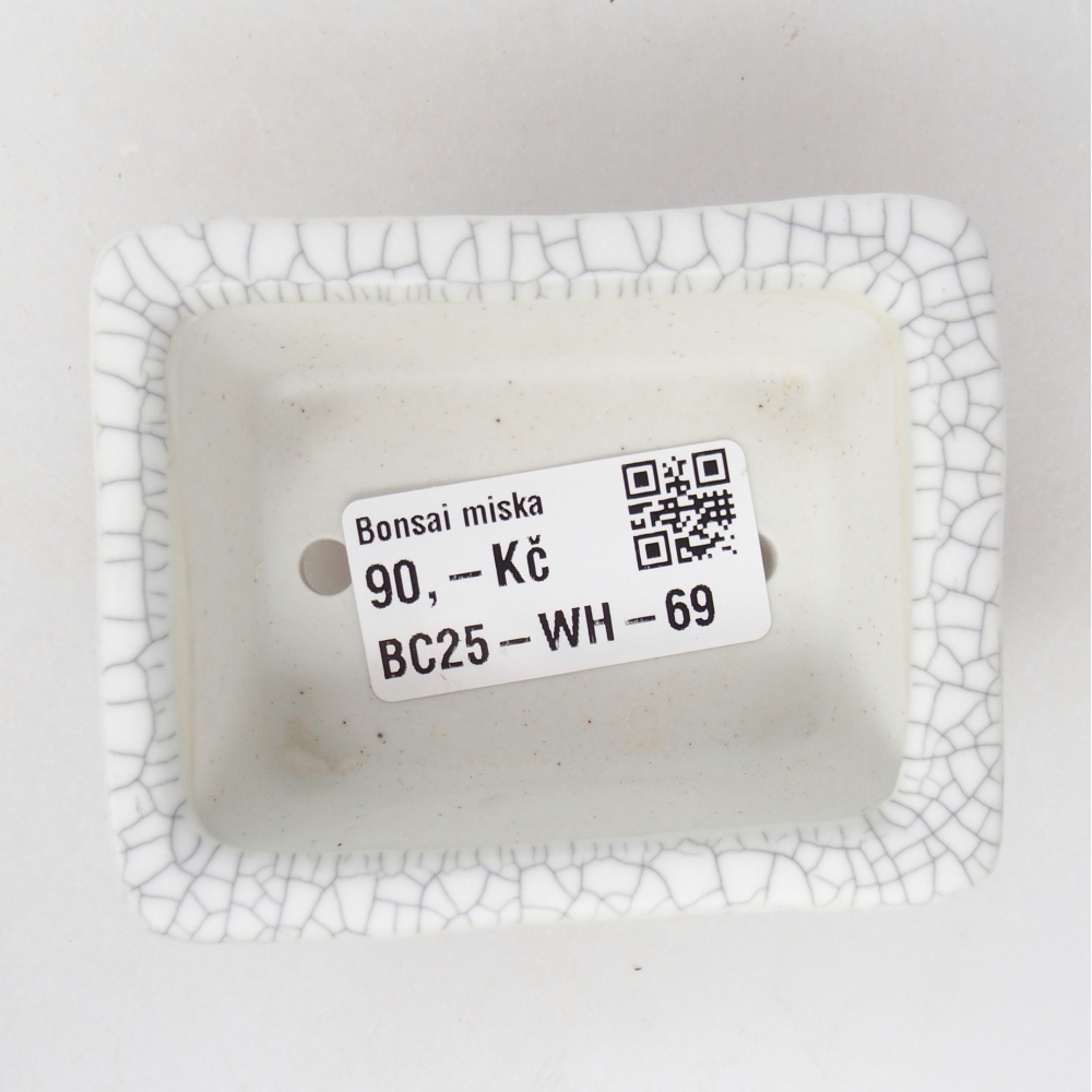 Mini cuenco bonsái 8 x 6,5 x 3,5 cm, color raku