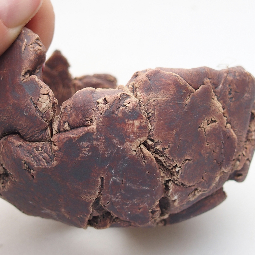 Concha de cerámica 9 x 8,5 x 6 cm , color marrón