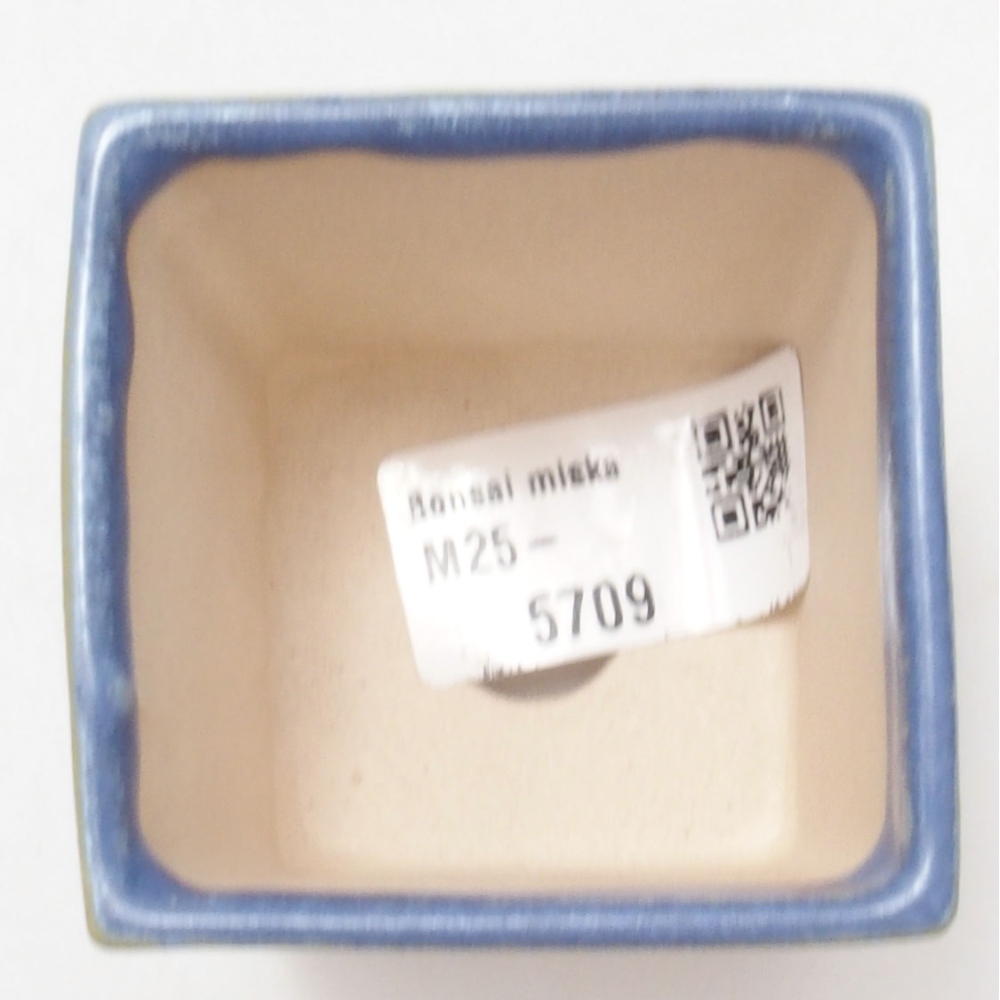 Cuenco mini bonsái 5,5 x 5,5 x 6,5 cm, color azul