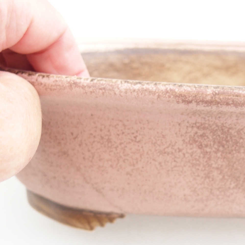 Cuenco bonsái de cerámica 25 x 20,5 x 7 cm, rosa