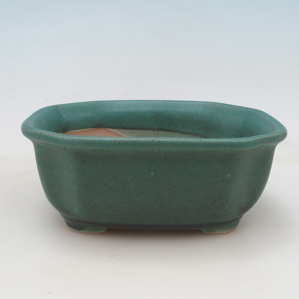Bonsai cuenco + platillo H31 - verde