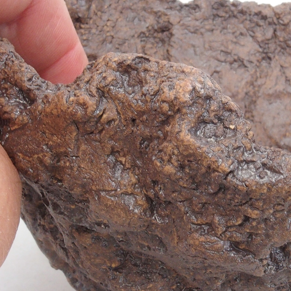 Concha de cerámica 13 x 10,5 x 12,5 cm , color marrón