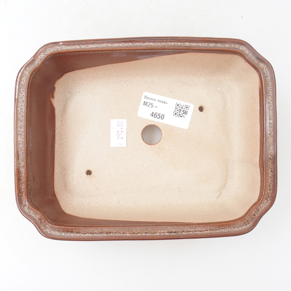 Cuenco bonsái de cerámica 18 x 13,5 x 5 cm, marrón
