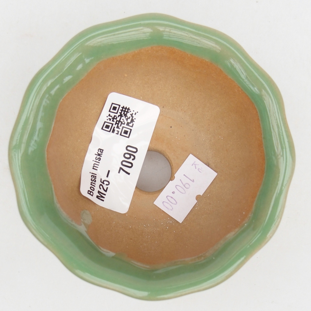 Cuenco bonsái de cerámica 8,5 x 8,5 x 4,5 cm, verde