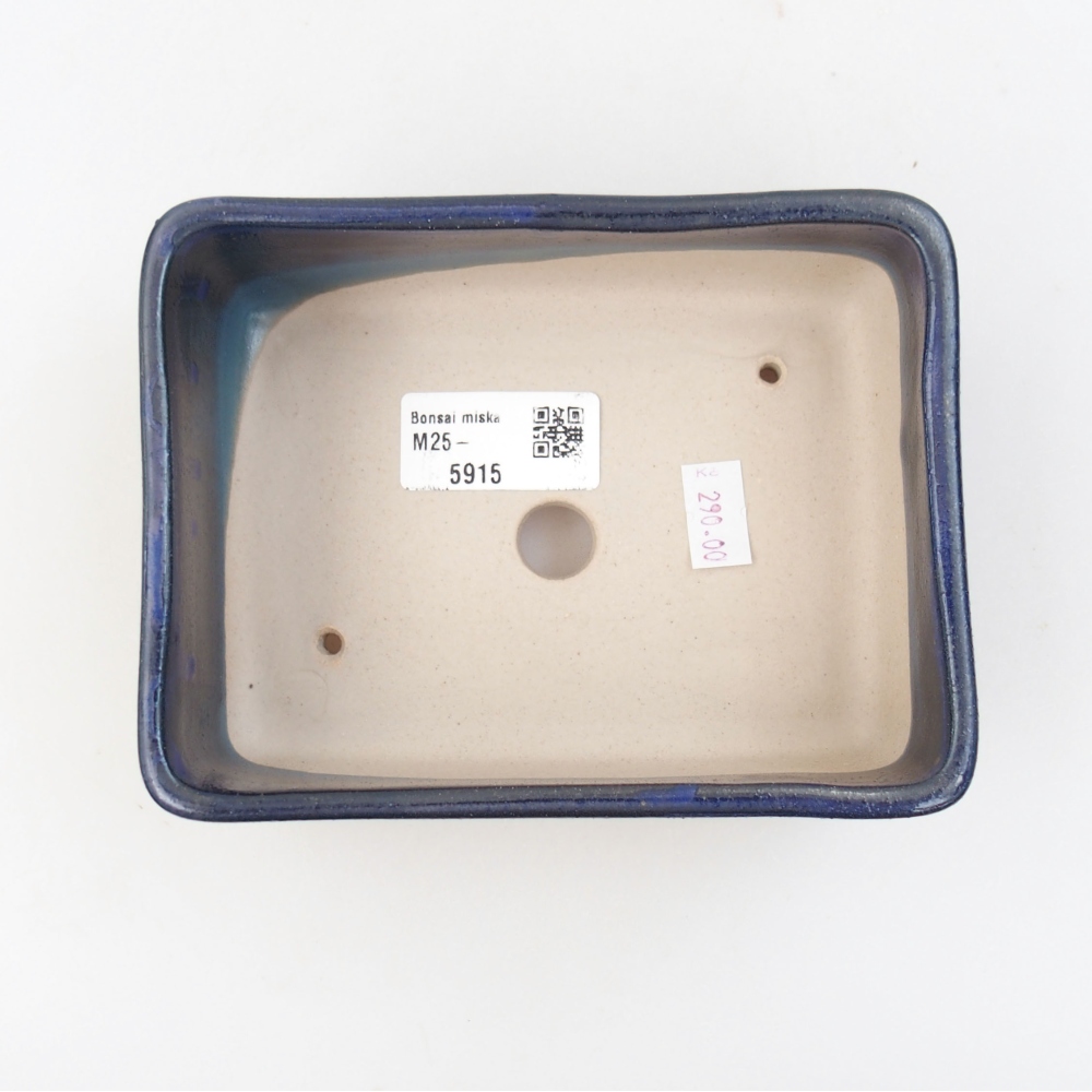 Cuenco bonsái de cerámica 22 x 17 x 5 cm, verde