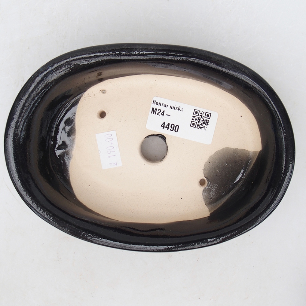 Cuenco bonsái de cerámica 15 x 11 x 3,5 cm, color negro