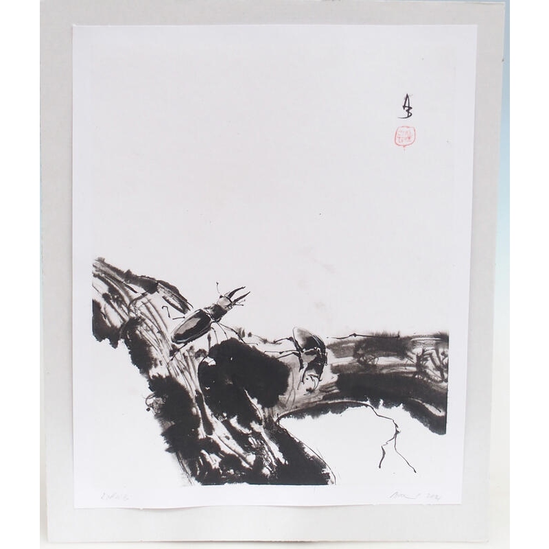 Caligrafía - Roháči