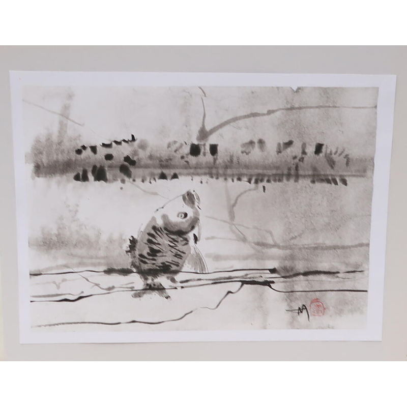 Caligrafía - Pescado