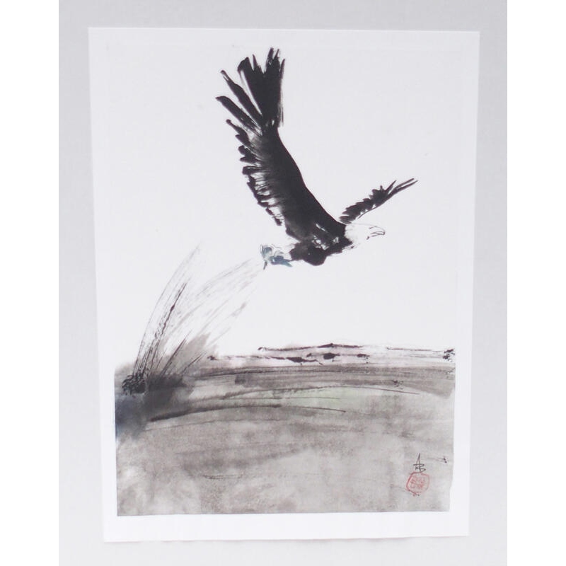 Caligrafía - Buitre con presa