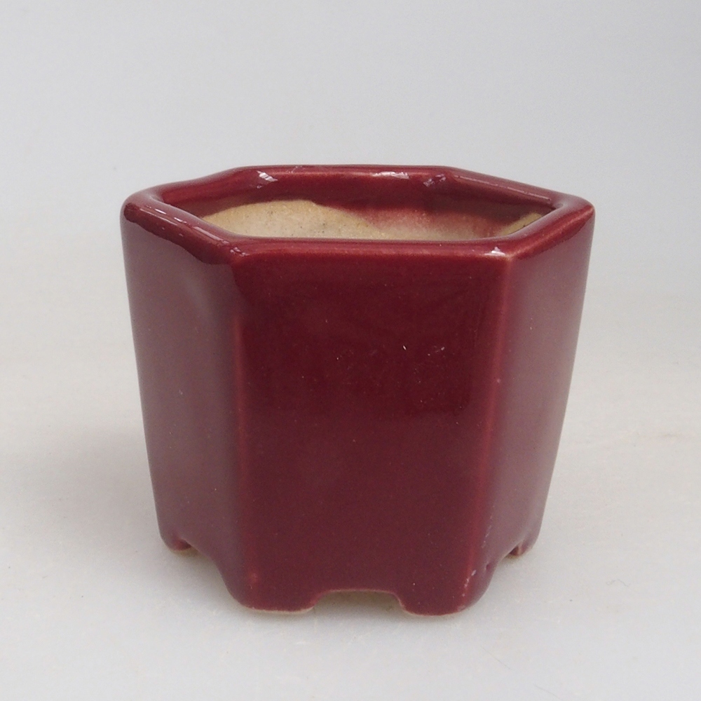 Cuenco mini bonsái 4 x 4 x 3,5 cm, burdeos