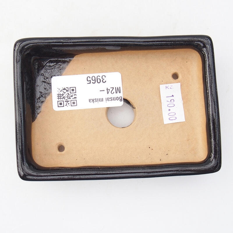 Cuenco bonsái de cerámica 10,5 x 7 x 2 cm, color negro