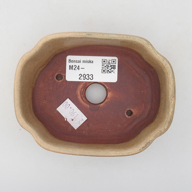 Cuenco bonsái de cerámica 10,5 x 8 x 3,5 cm, color beige