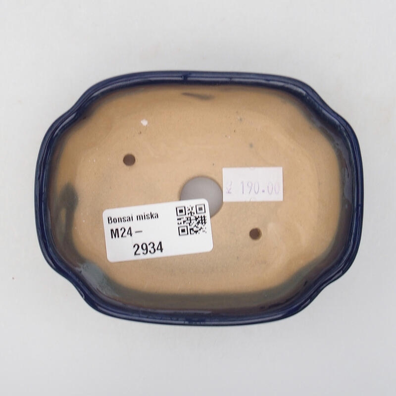 Cuenco bonsái de cerámica 10,5 x 8 x 3,5 cm, color azul