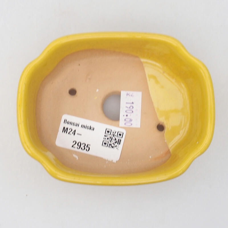 Cuenco bonsái de cerámica 10,5 x 8 x 3,5 cm, amarillo
