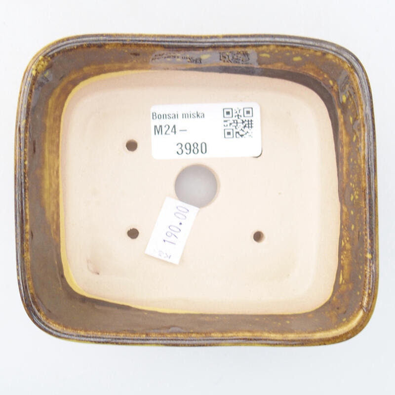 Cuenco bonsái de cerámica 10,5 x 9,5 x 4 cm, amarillo