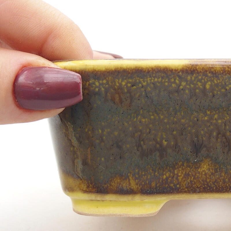 Cuenco bonsái de cerámica 10,5 x 9,5 x 4 cm, amarillo
