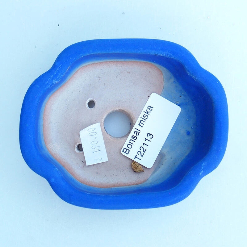 Cuenco bonsái de cerámica 10,5 x 9 x 3,5 cm, color azul