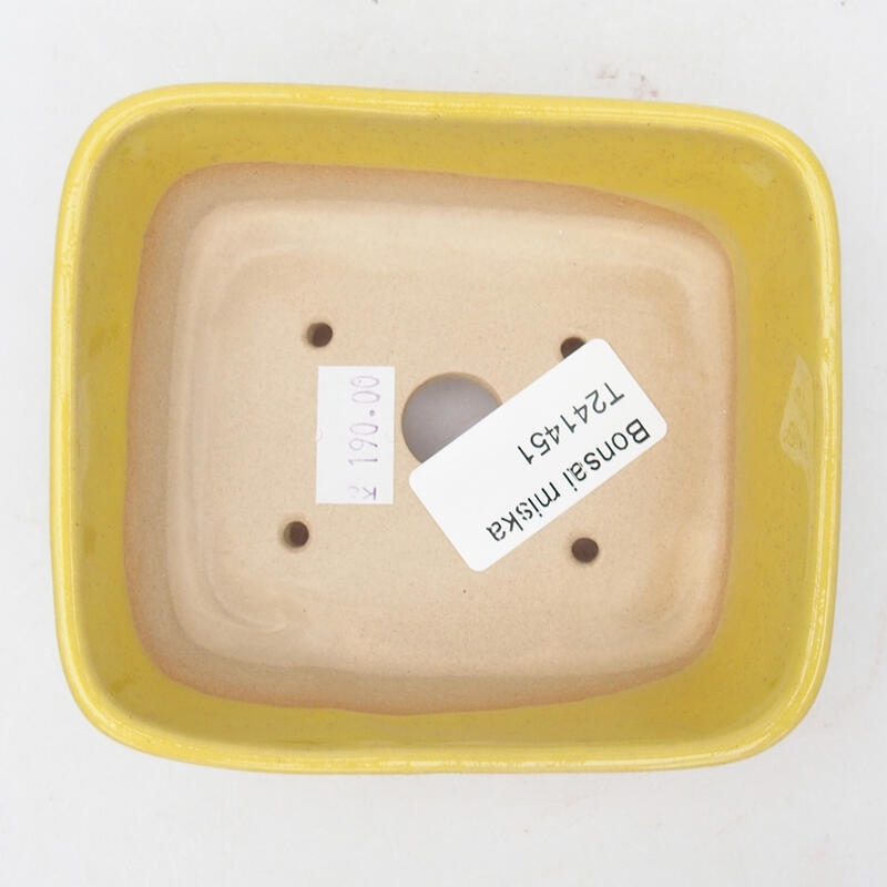 Cuenco bonsái de cerámica 10,5 x 9 x 4 cm, amarillo