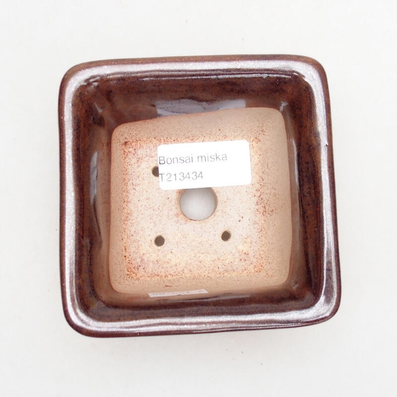 Cuenco bonsái de cerámica 10 x 10 x 6 cm, marrón
